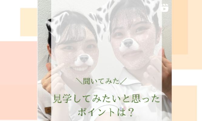 GDCの見学してよかったポイントについてお聞きしました〜！/Instagram更新しました！