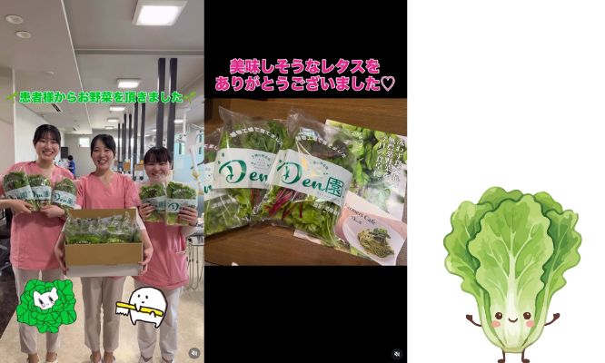 患者様からレタスの差し入れを頂きました😋/Instagram更新しました🌈